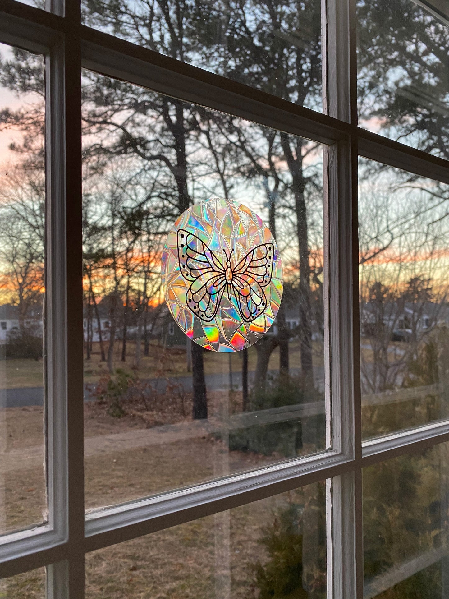 3 Pack Butterfly Rainbow Makers