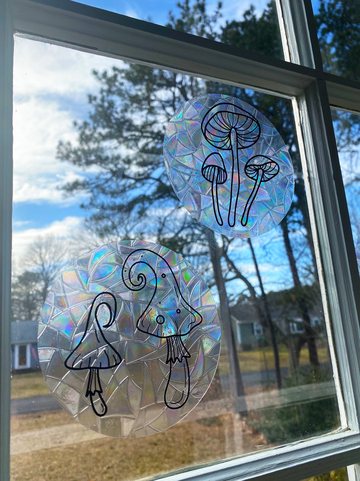 3 Pack Mushroom Rainbow Makers