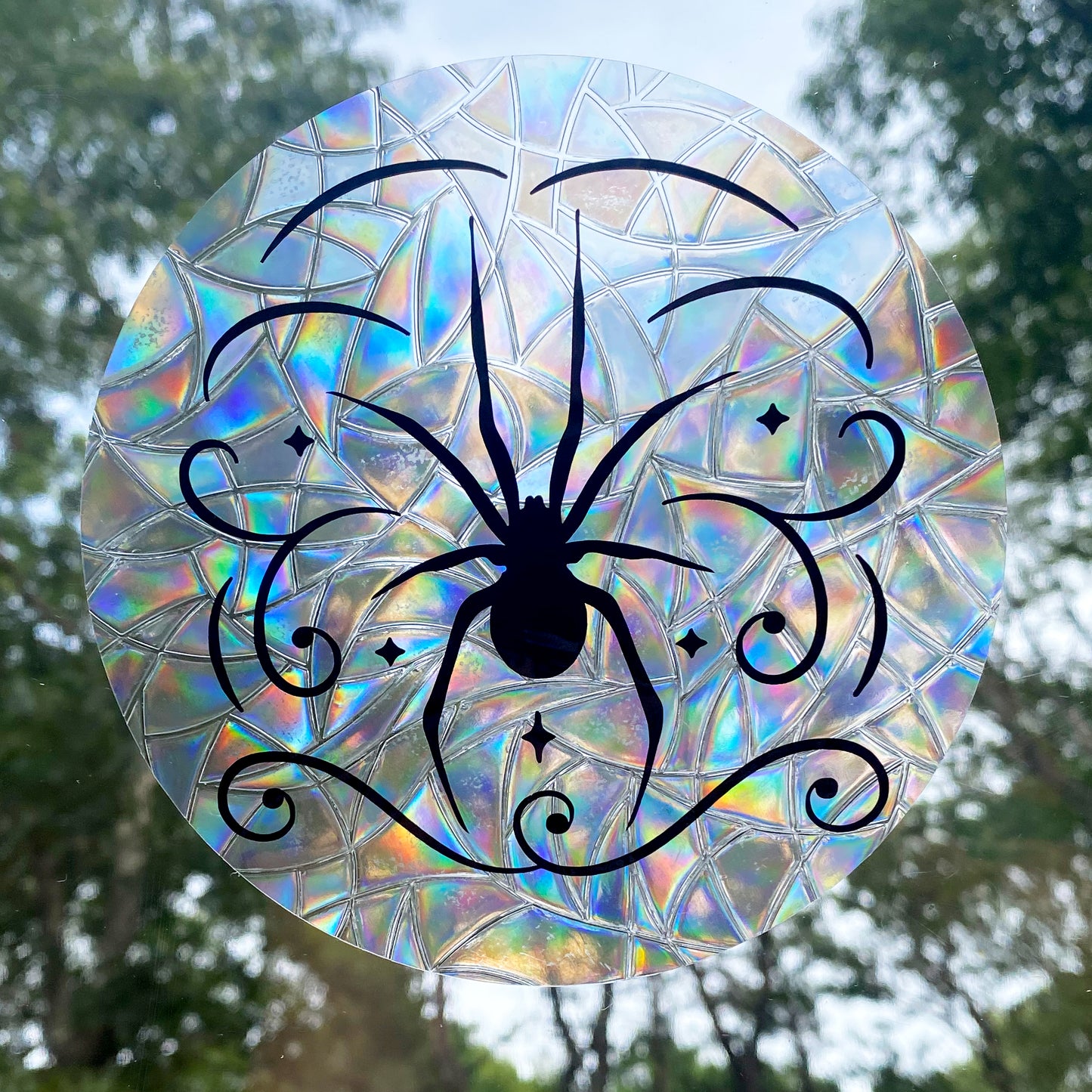 Spider Rainbow Maker