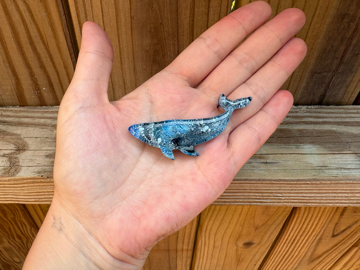 Small Whale Magnets