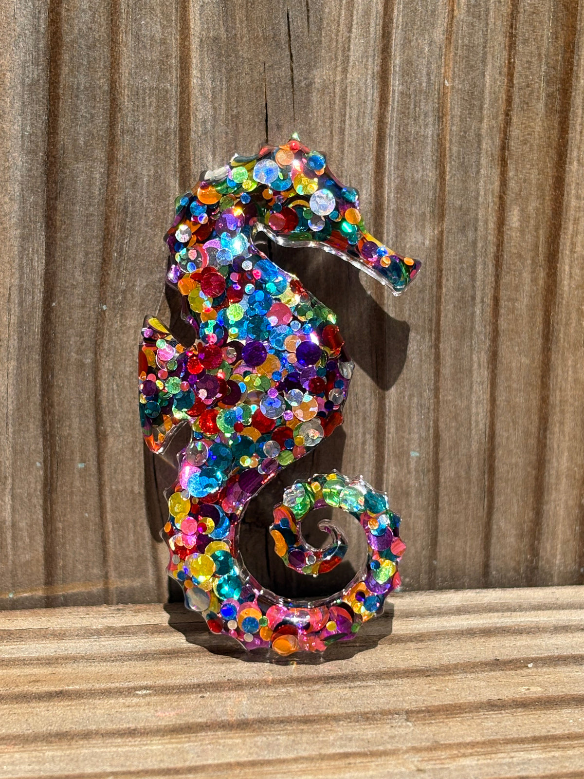 Seahorse Magnet