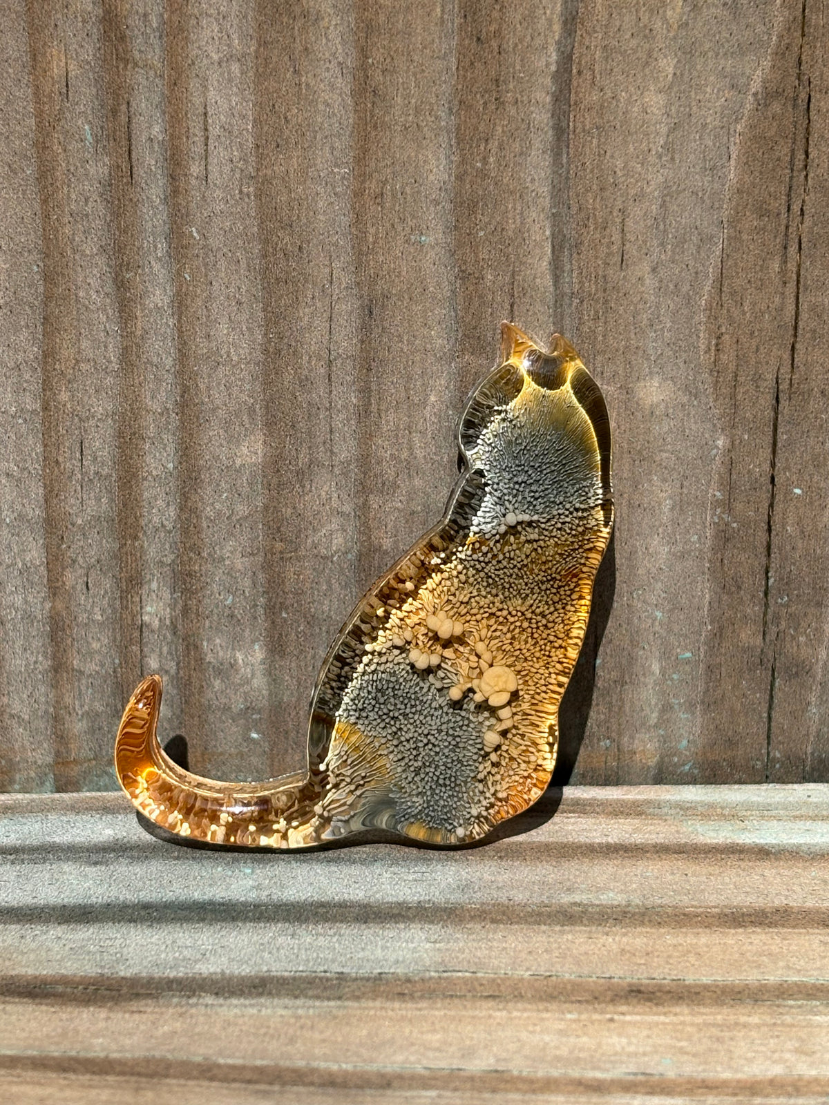 Small Cat Magnets