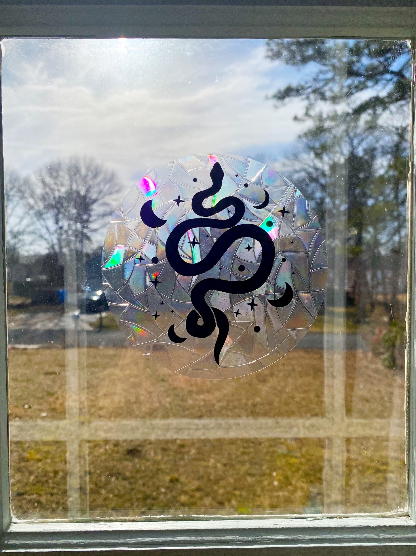 Snake Rainbow Maker